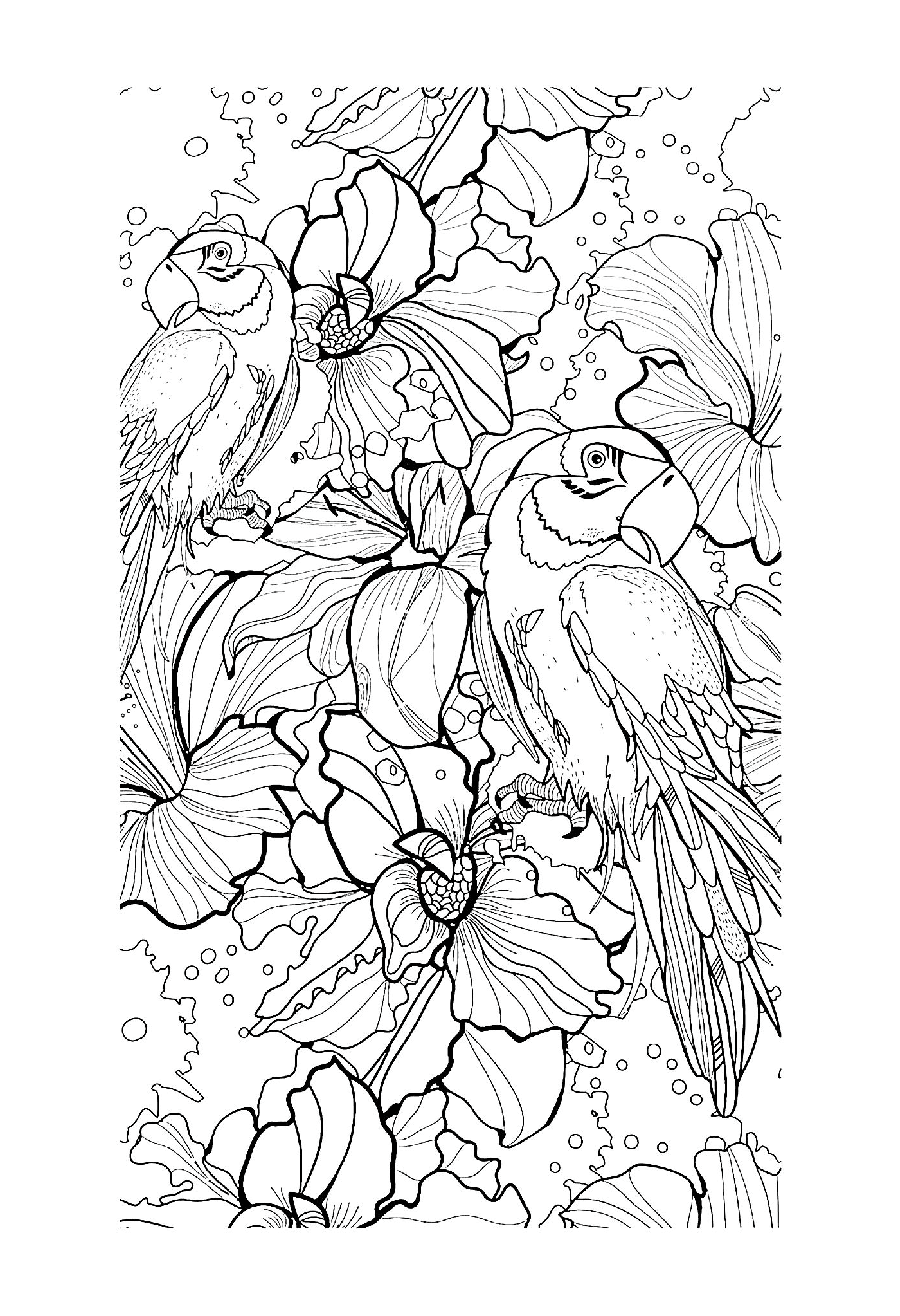  Des oiseaux et des fleurs 