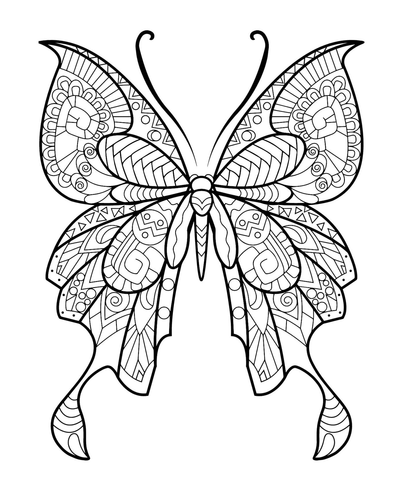   Beau papillon aux motifs colorés 