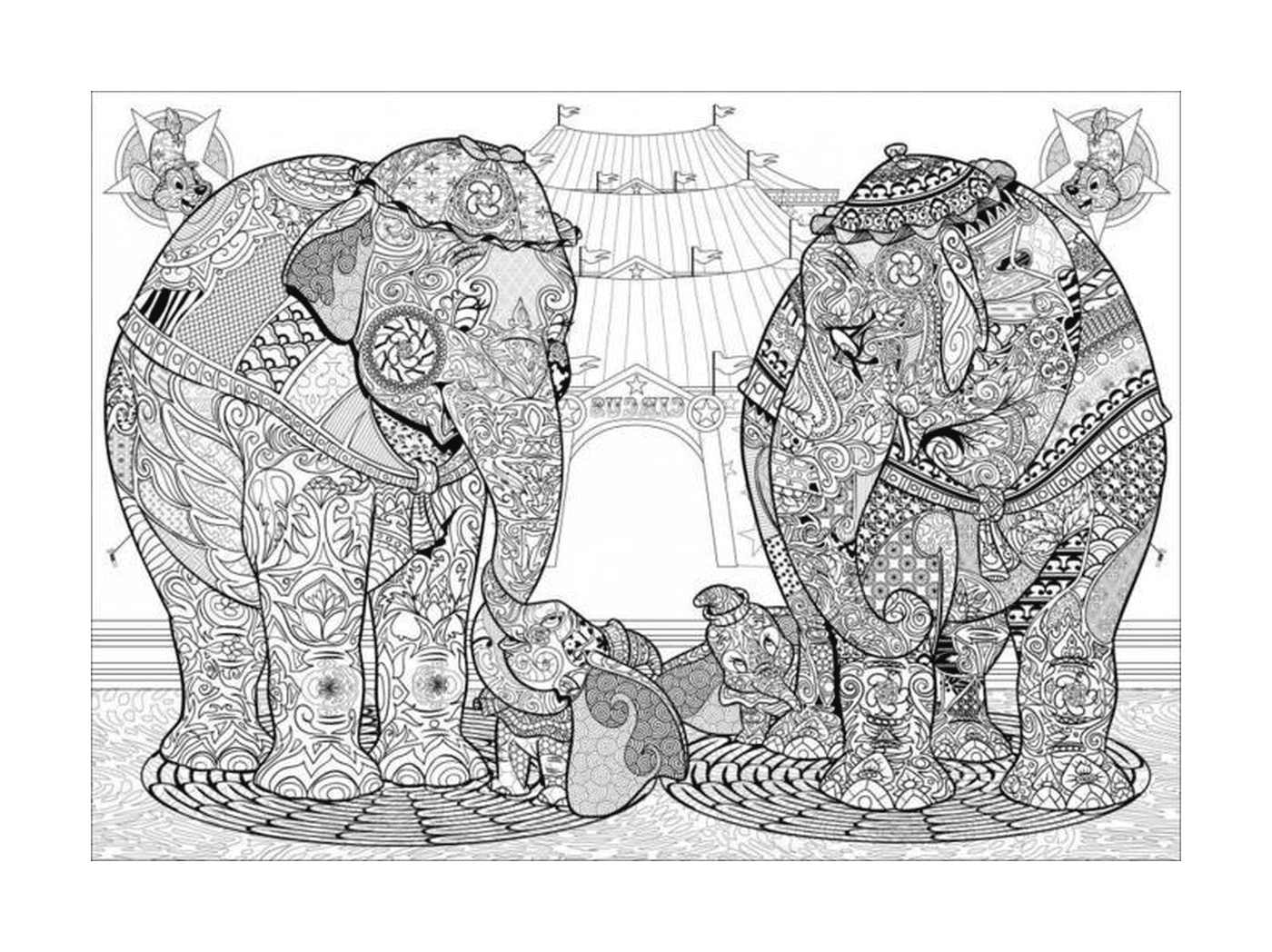   Éléphants se tenant côte à côte 