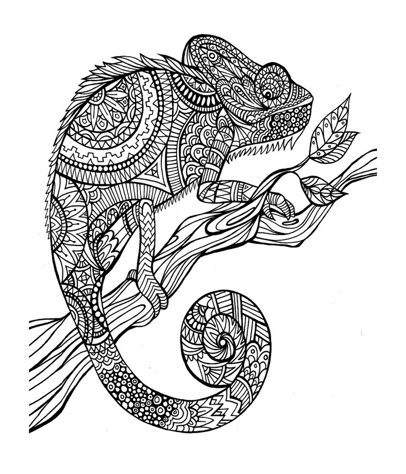   Un caméléon assis sur une branche 