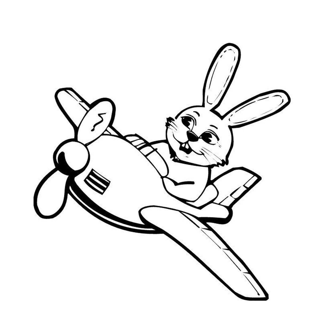   Un avion avec un lapin dessus 