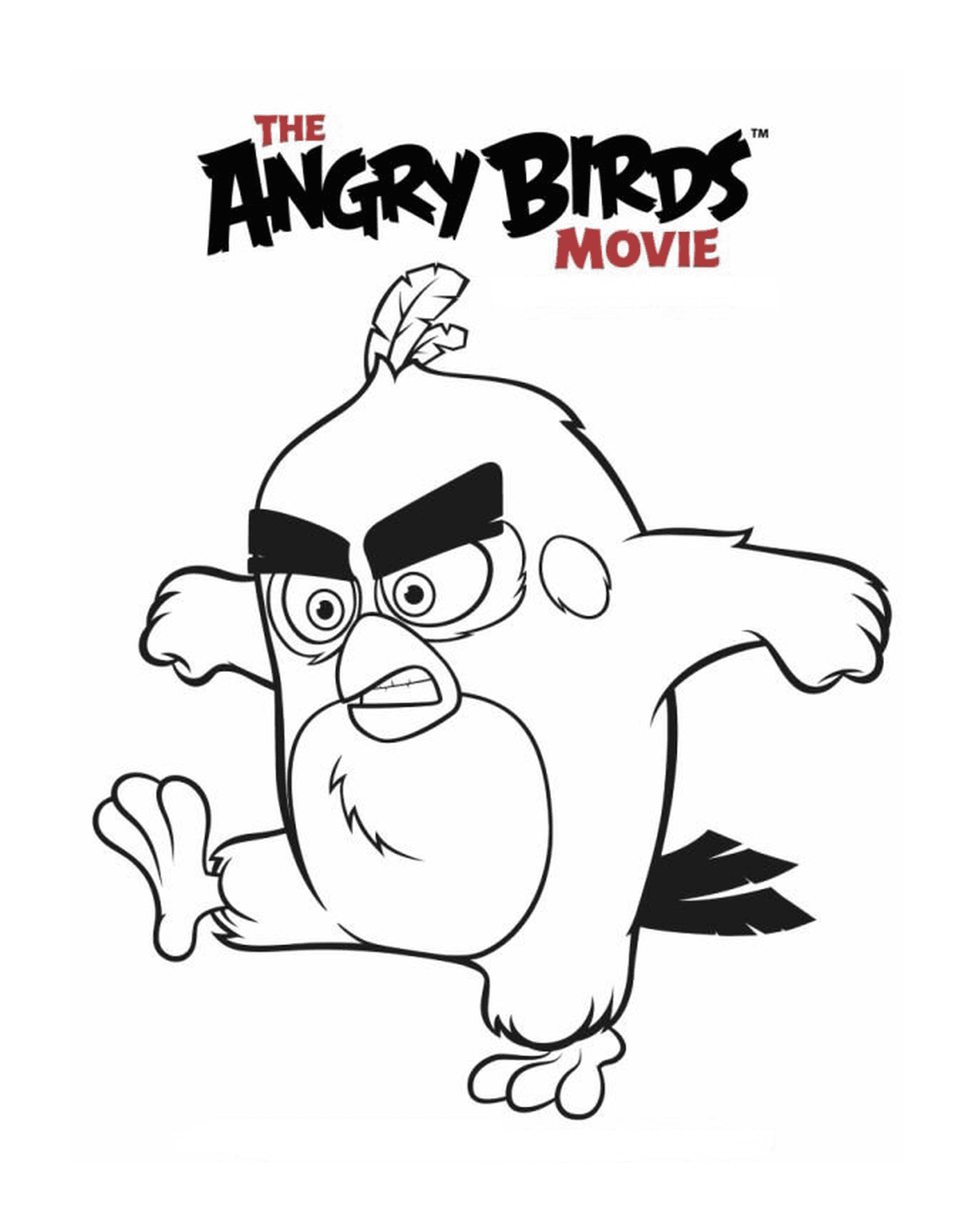  Angry Birds le film 