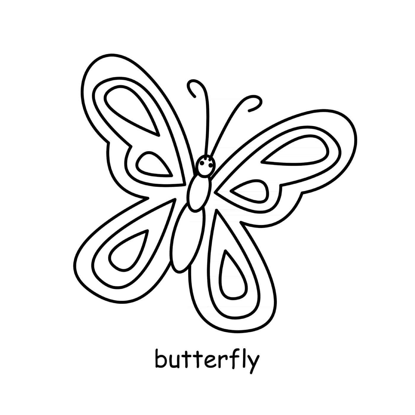   Papillon insecte 