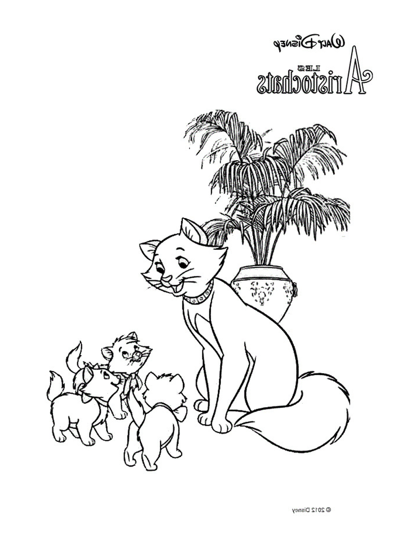   Un chat adulte et deux petits chatons devant un palmier en pot 