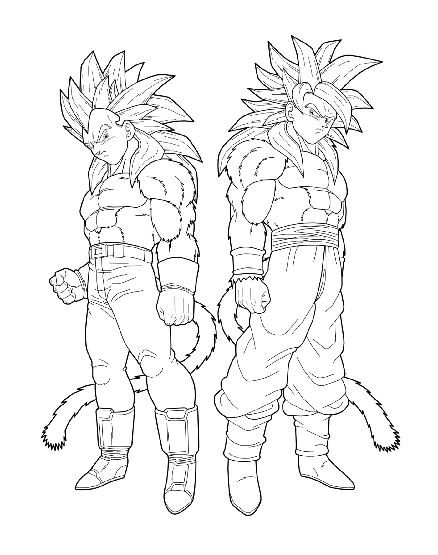   Goku et Vegeta unis 