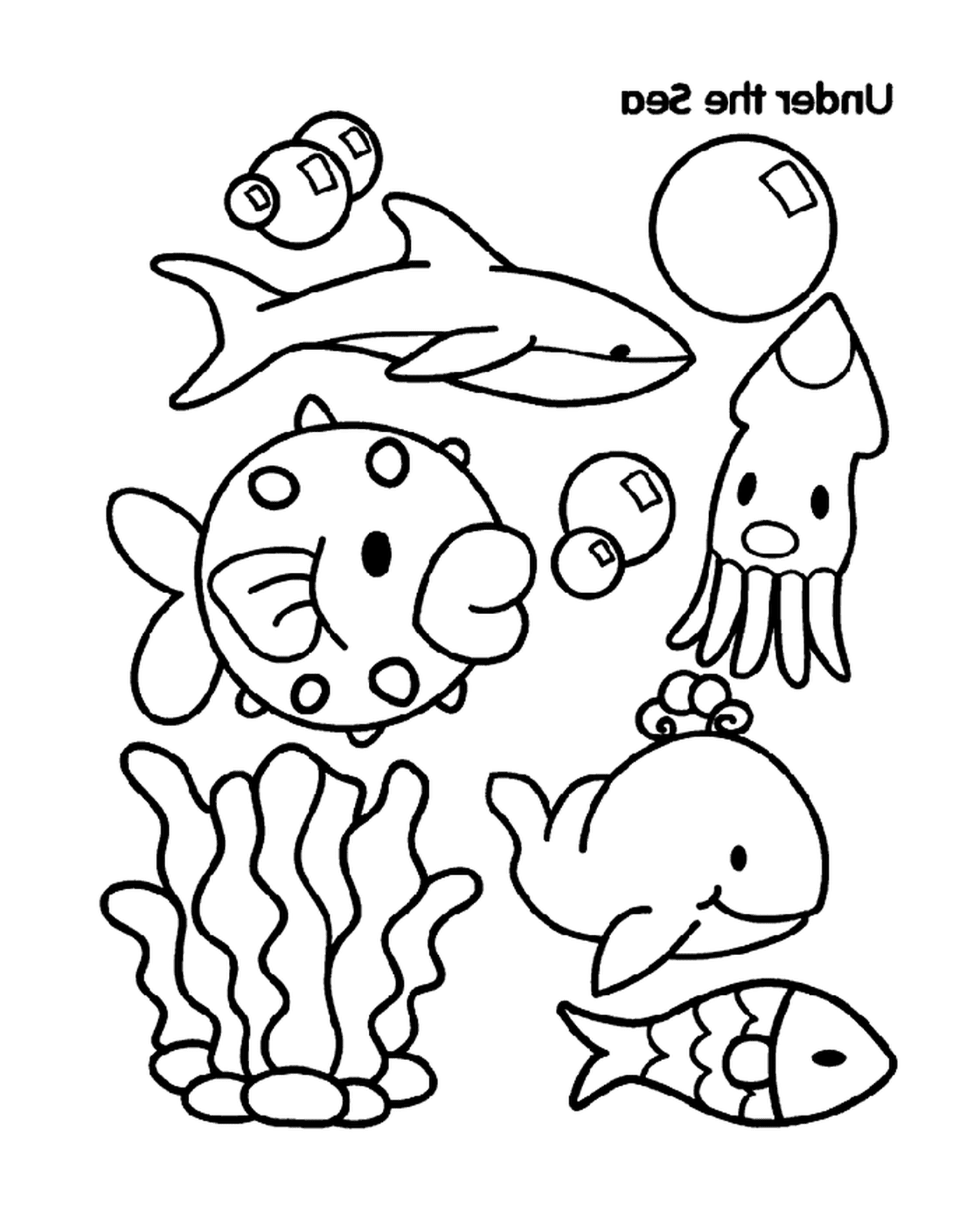   Un groupe d'animaux marins 