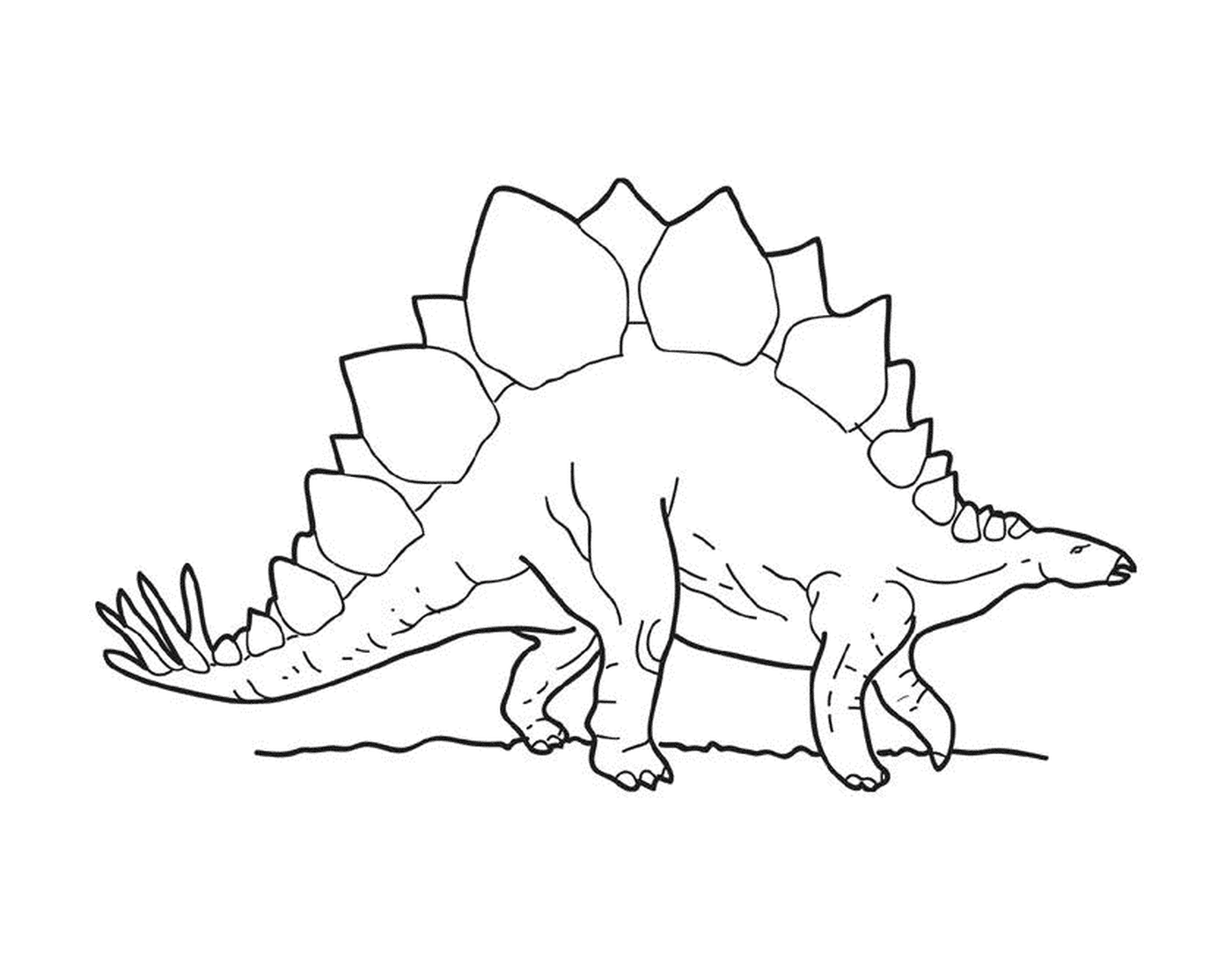   Stégosaure debout sur ses pattes arrière 