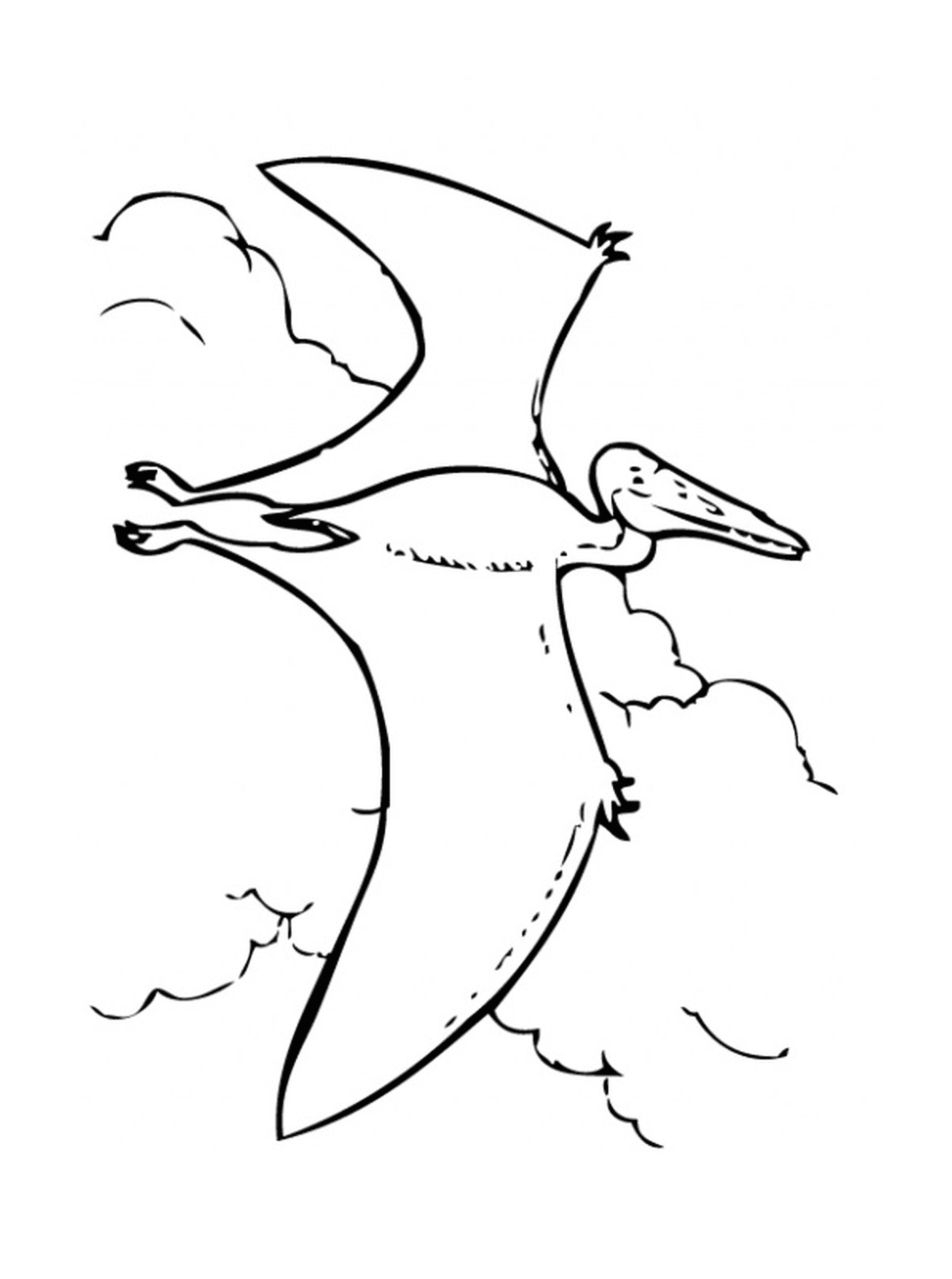   Pterodactylus volant dans le ciel 