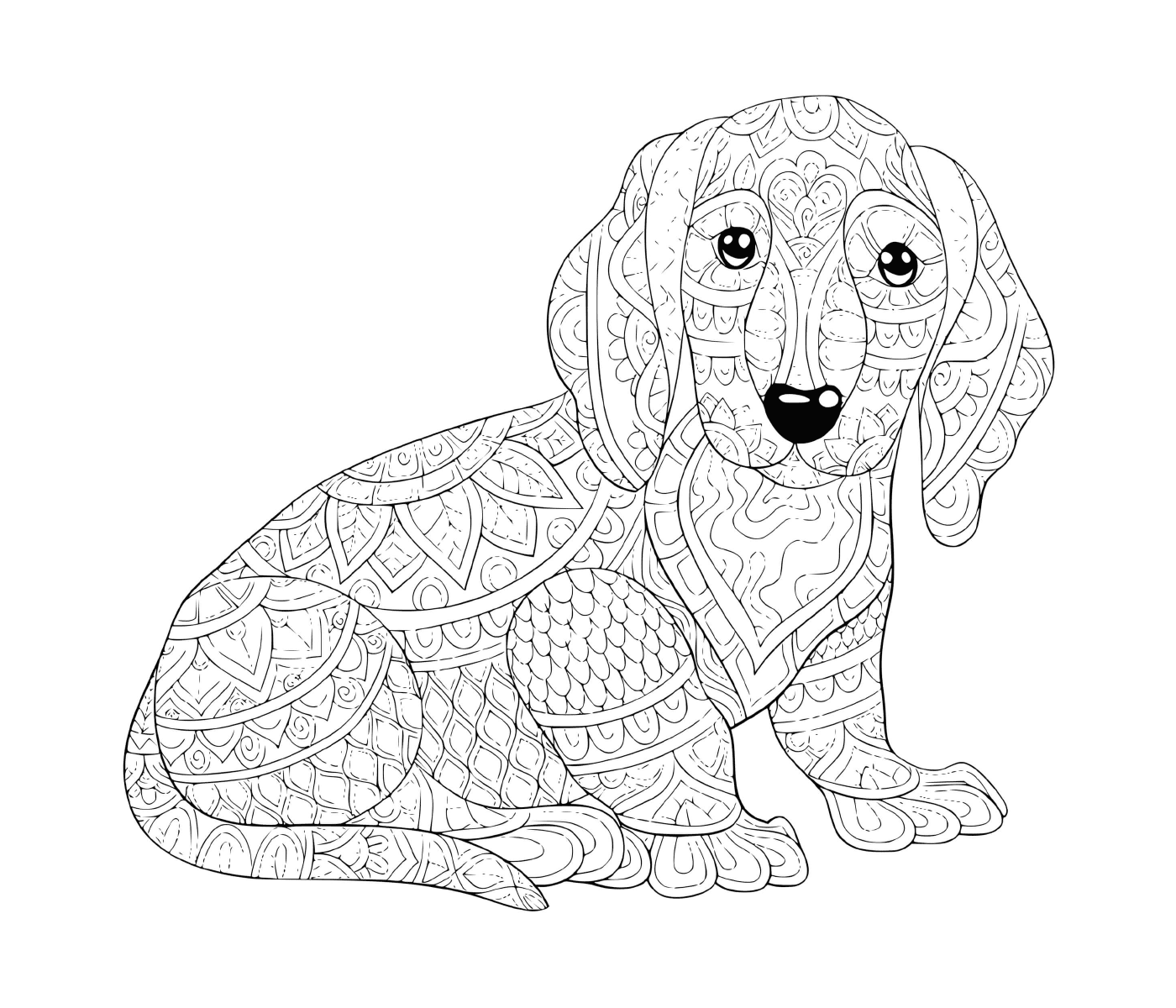   Un chien Teckel saucisse allemand 