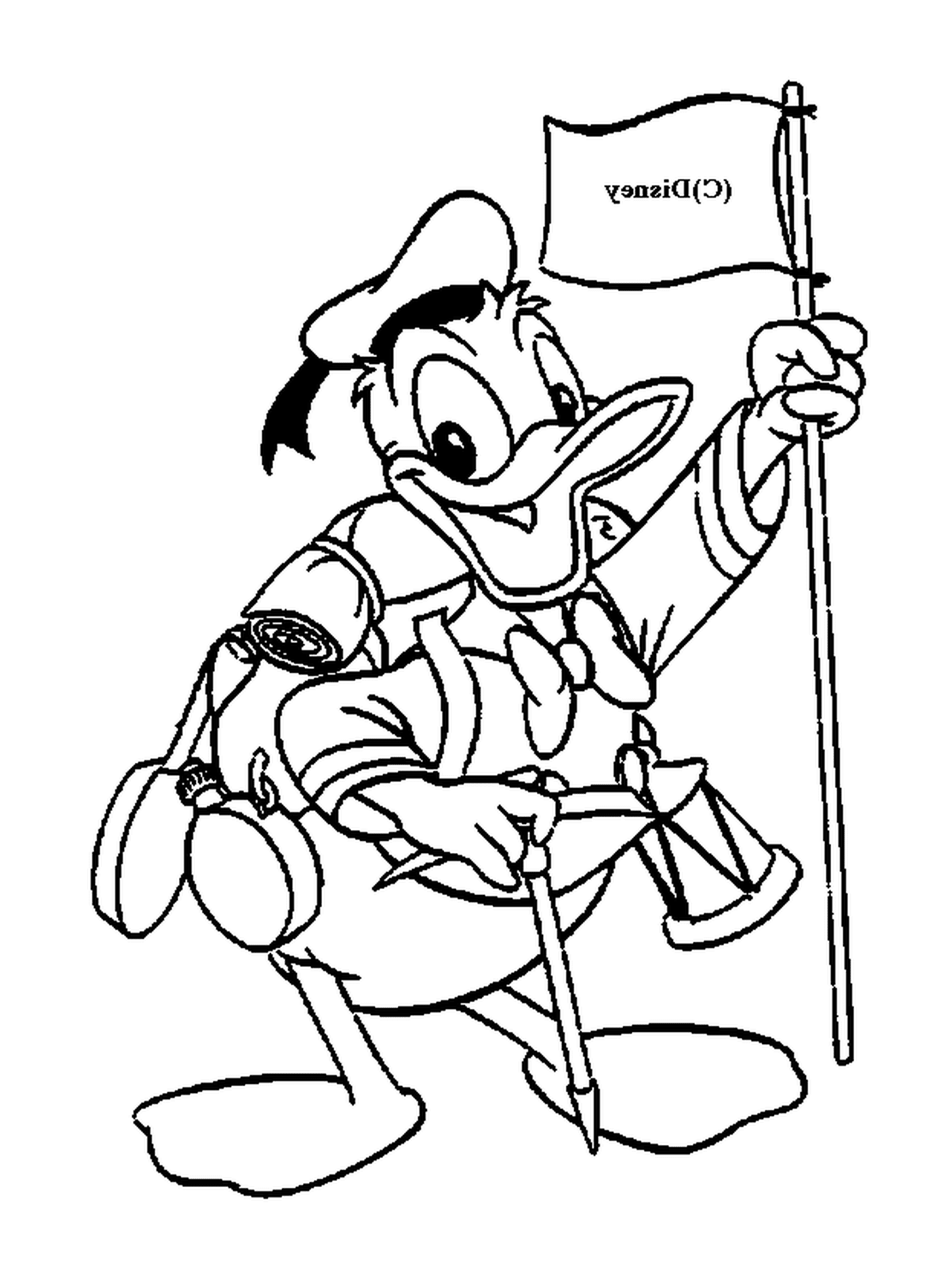   Donald en tenue de scout, fier de son drapeau 