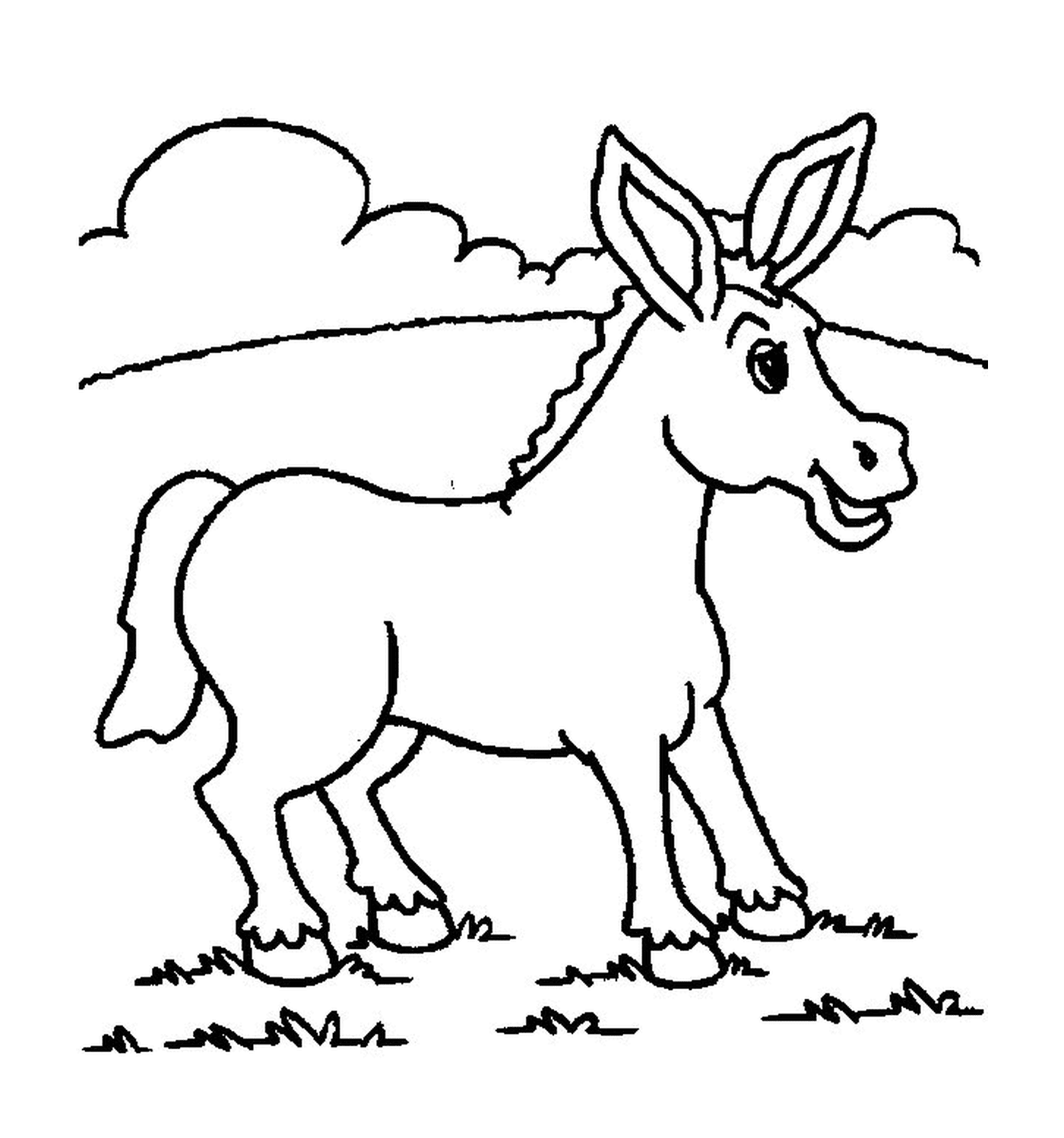   Une image d'un âne 