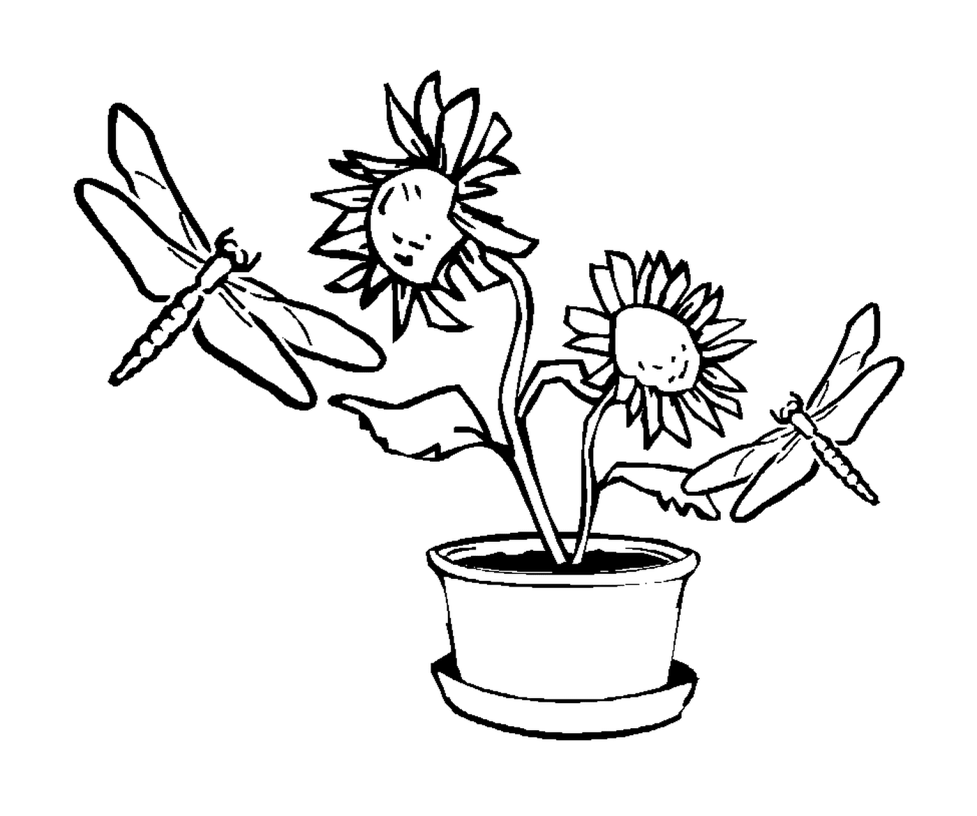   Deux libellules volant autour d'un pot de fleurs 