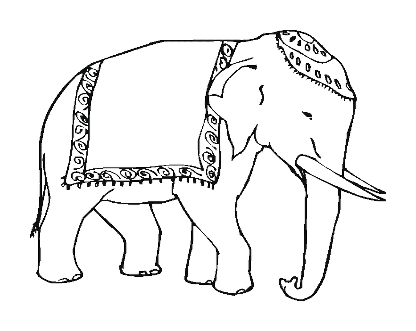   Un éléphant avec une couverture sur le dos 