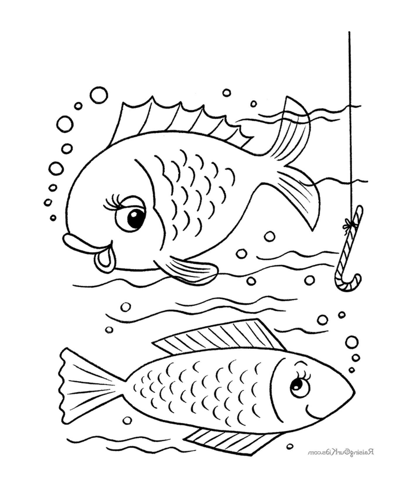  Deux poissons nagent dans l'eau pendant qu'un autre pêche 