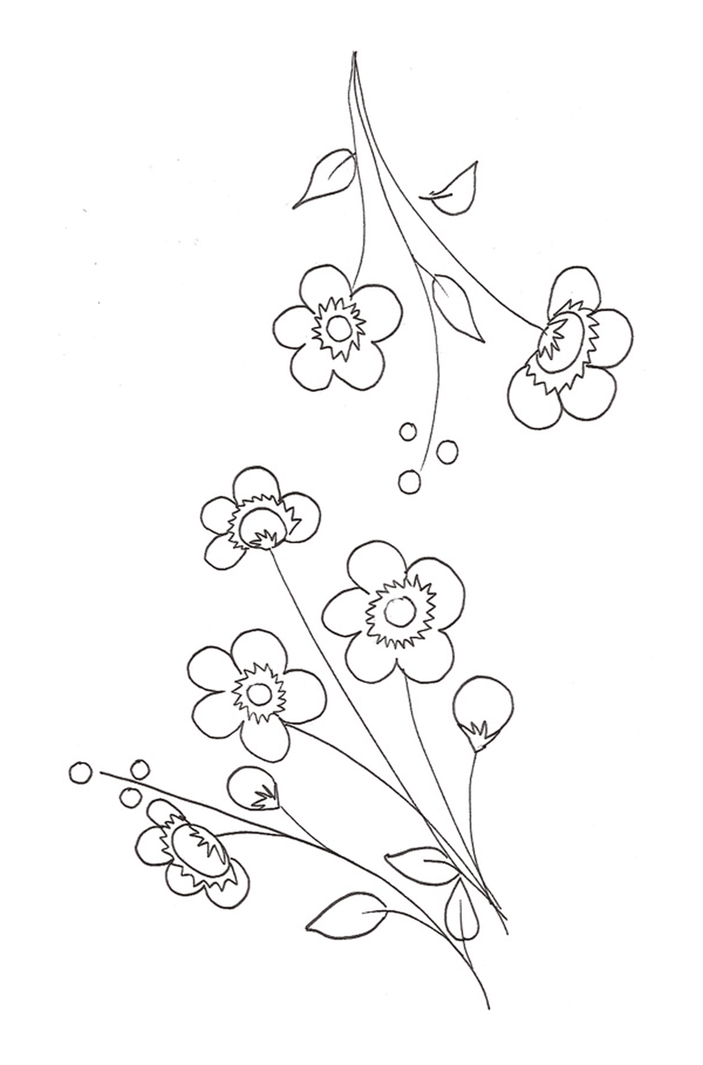   Une fleur de cerisier sur une ligne avec un groupe de fleurs 