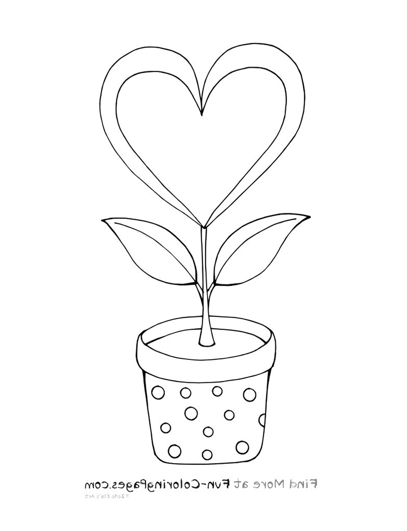   Une plante dans un pot 