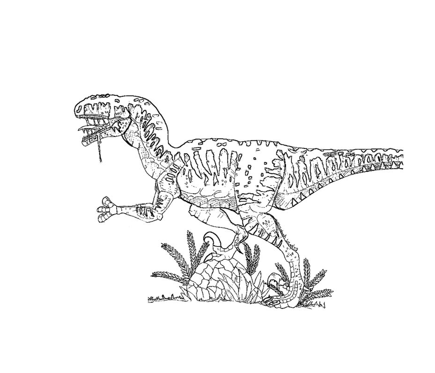   Jurassic Park, roi des tyrannosaures 