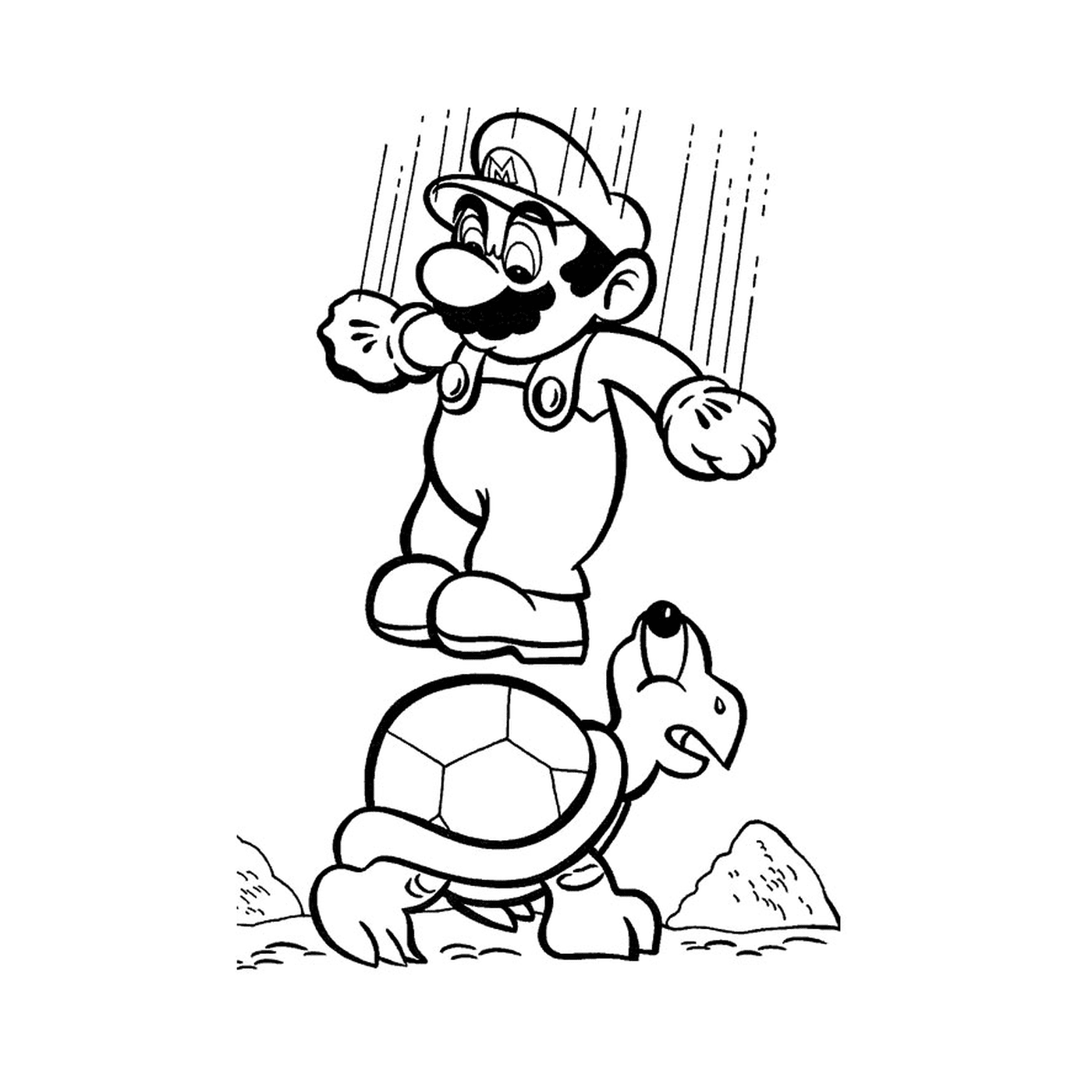   Mario et une tortue 