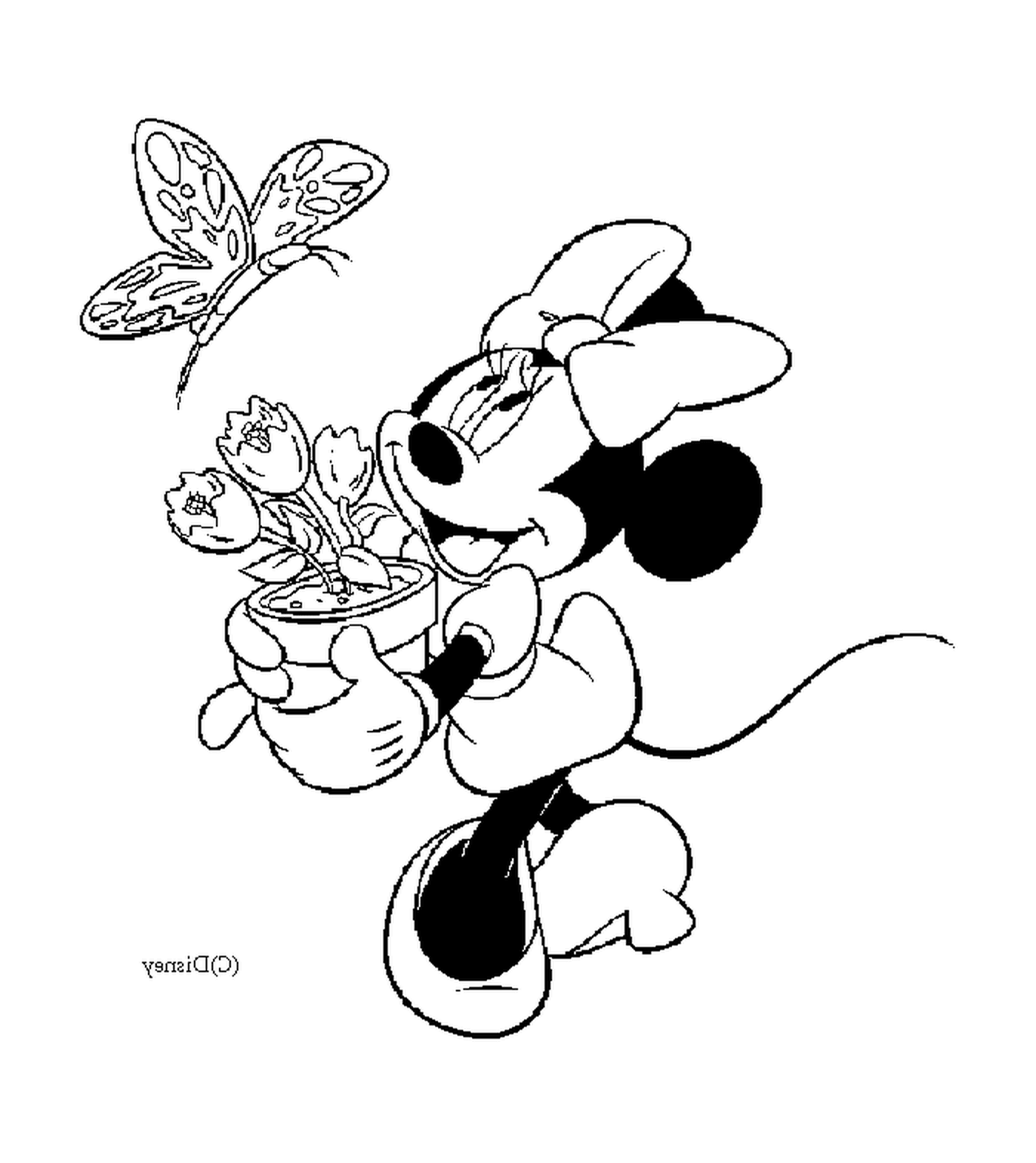   Minnie porte un pot de fleur 
