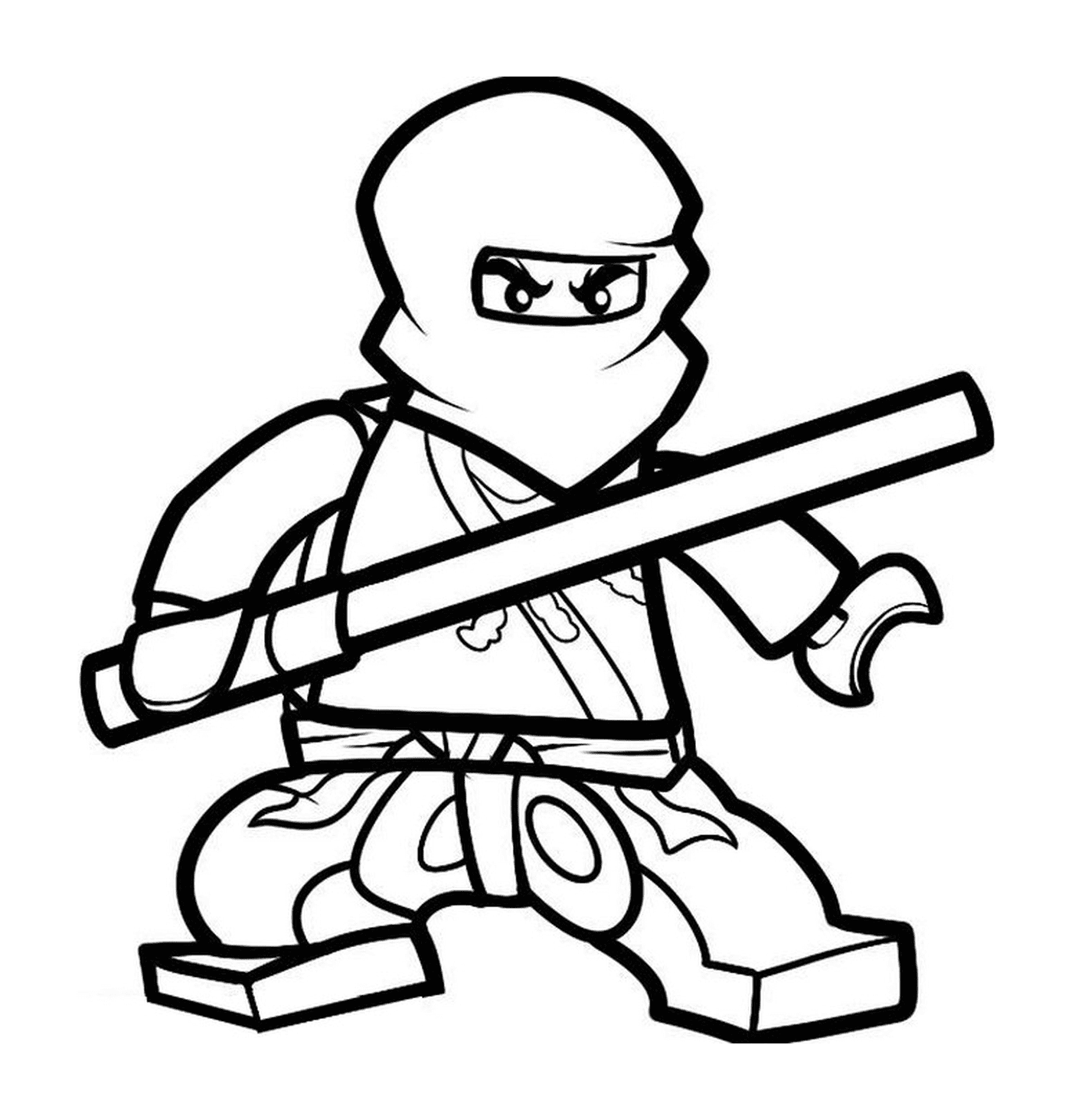   Ninjago cole ninja maître de la terre 