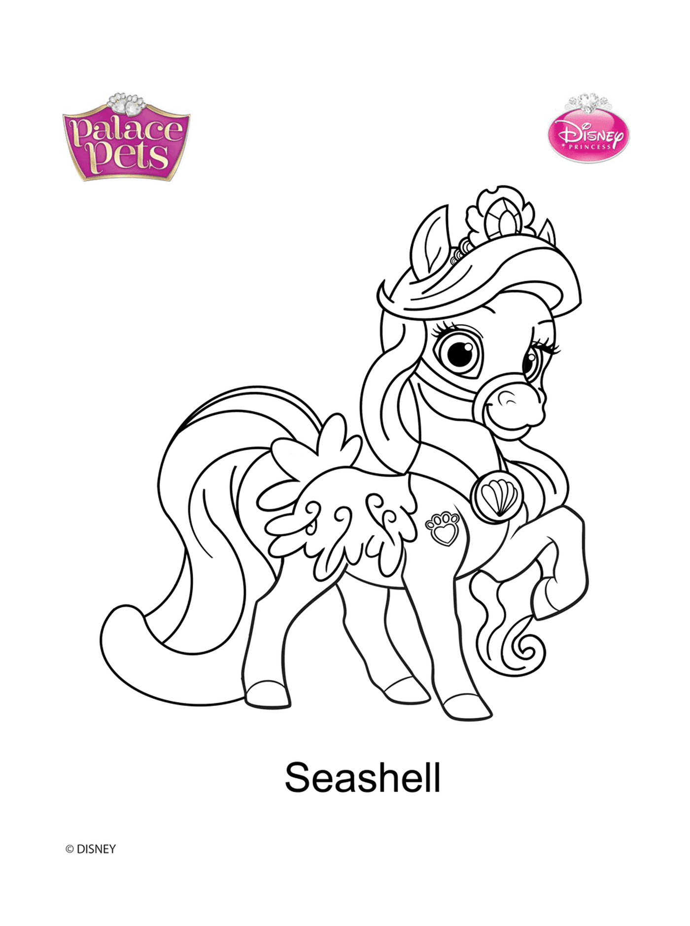  Palace pets, Seashell la princesse poney 