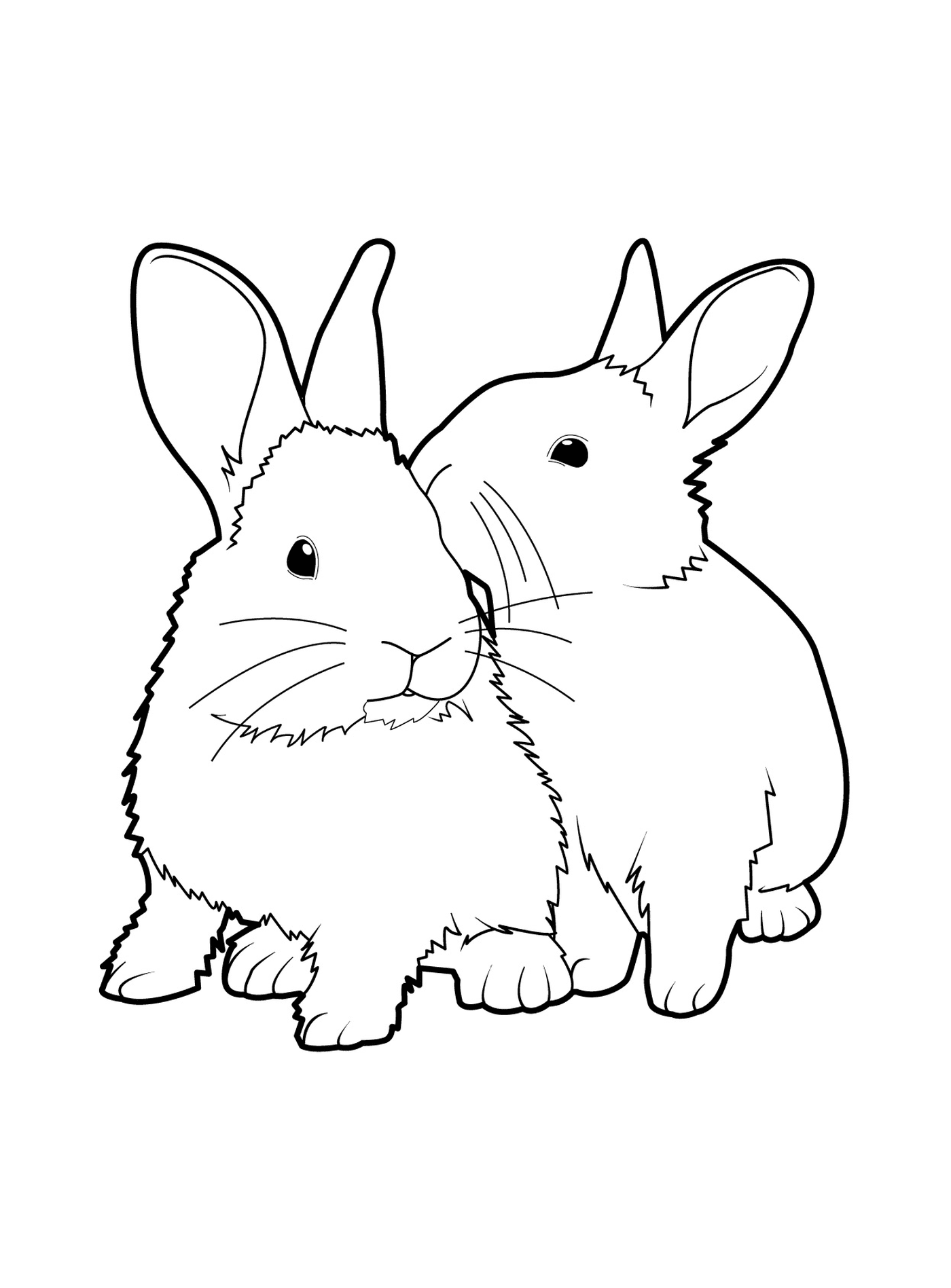   Duo de lapins réalistes 
