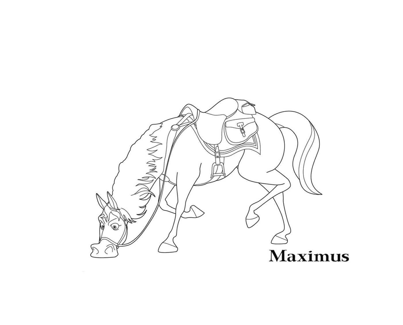   Raiponce, Maximus, fidèle compagnon 