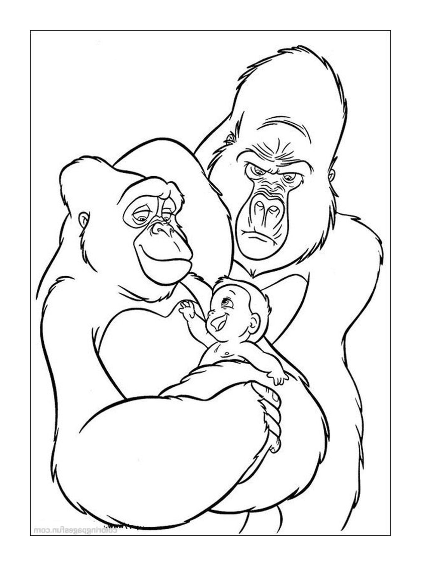  Gorille et bébé gorille 