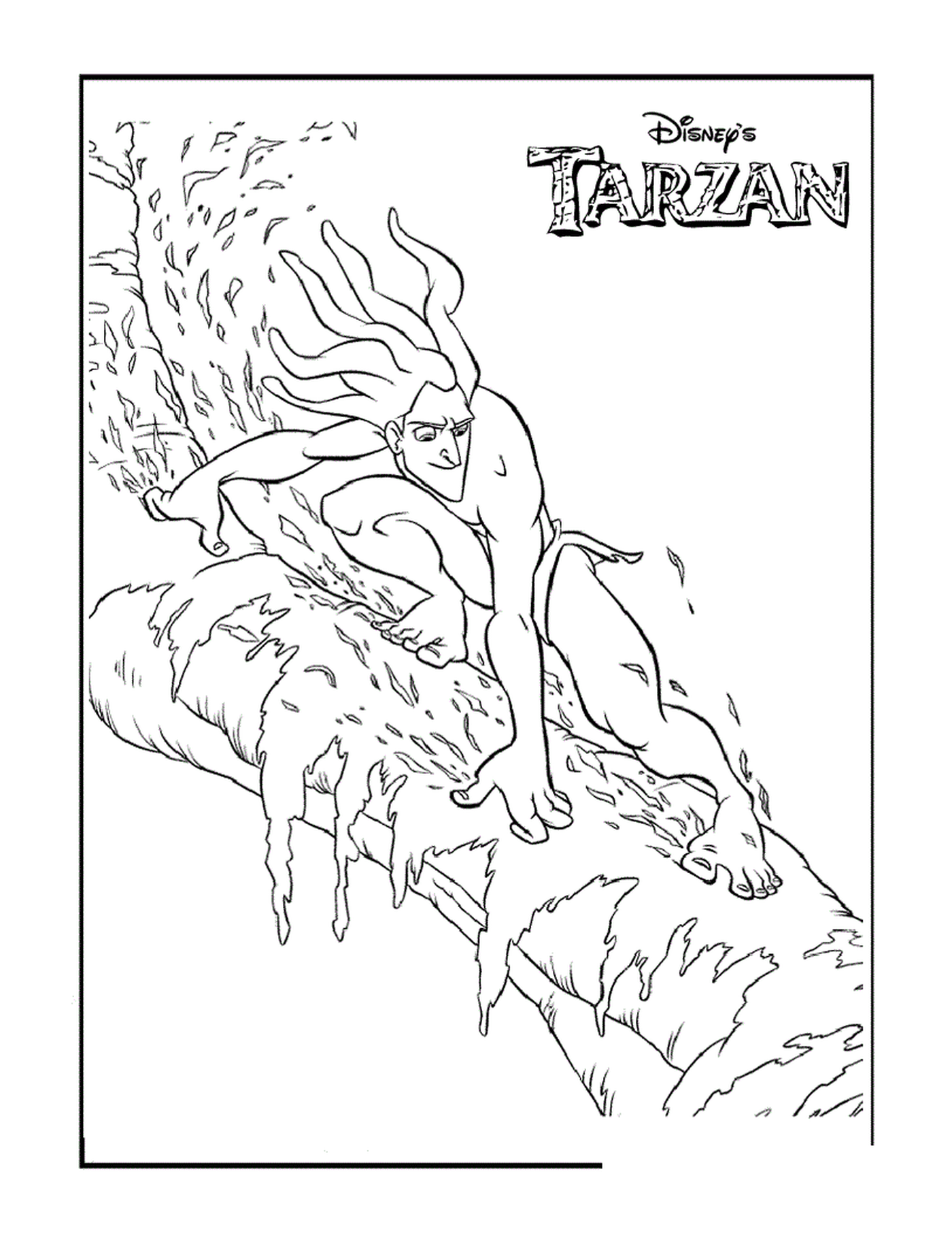   Tarzan s'échappe des lianes 