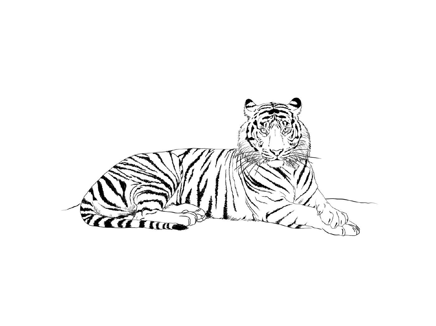   Un tigre mammifère réaliste 