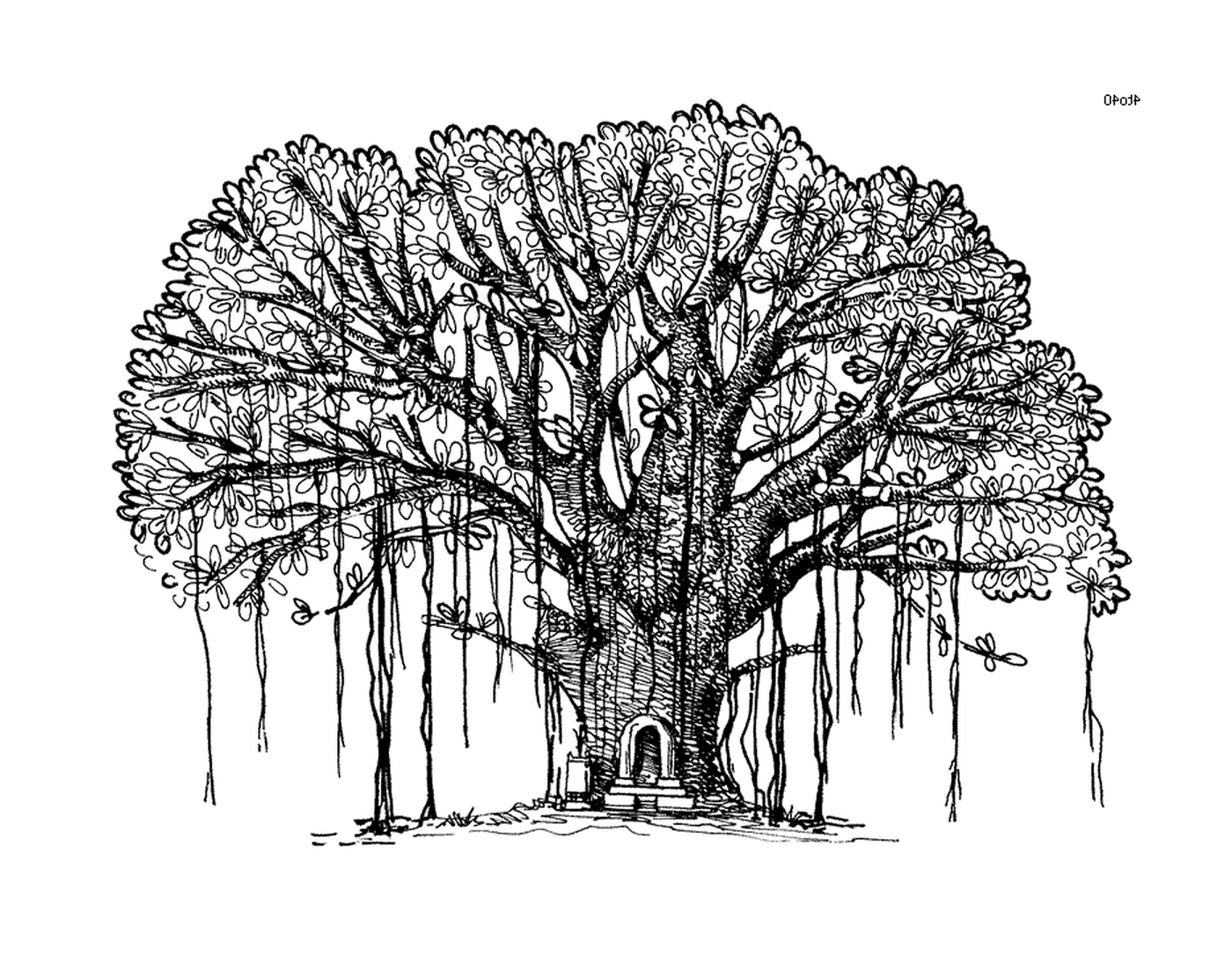   Une encre, un grand arbre avec un banc au milieu 