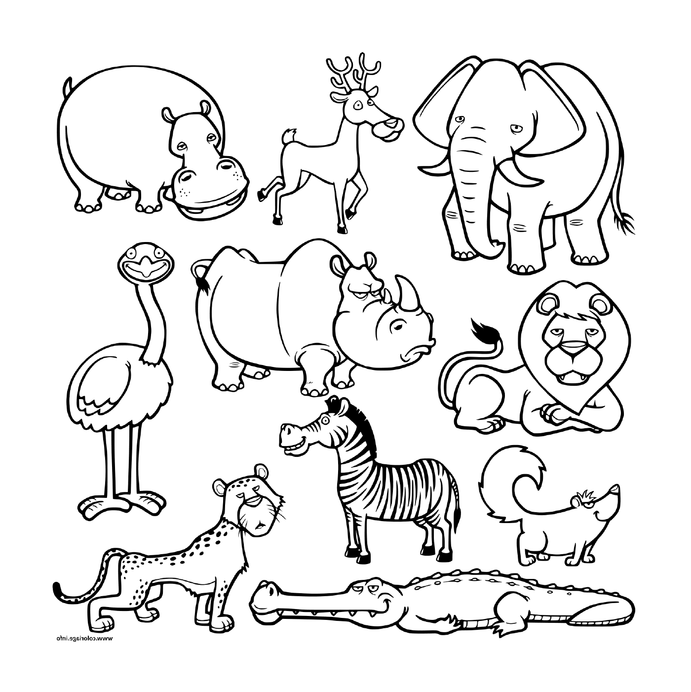   Un groupe d'animaux en groupe 