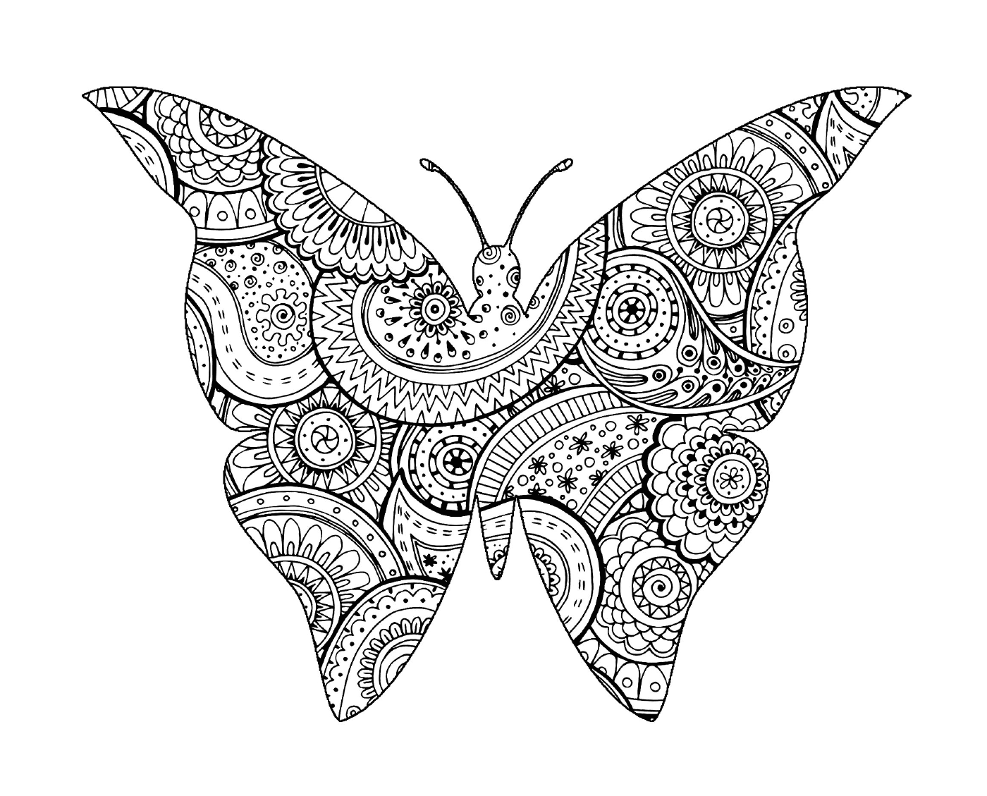 coloriage insecte papillon avec zentangle paisley motifs par art isabelle