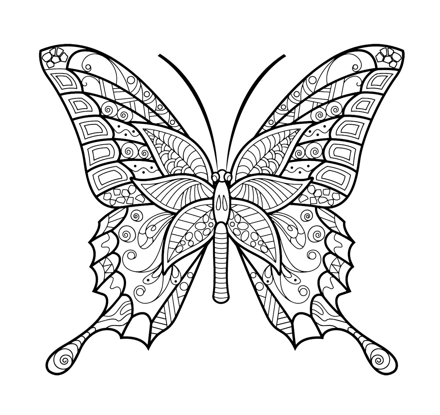 insecte papillon jolis motifs