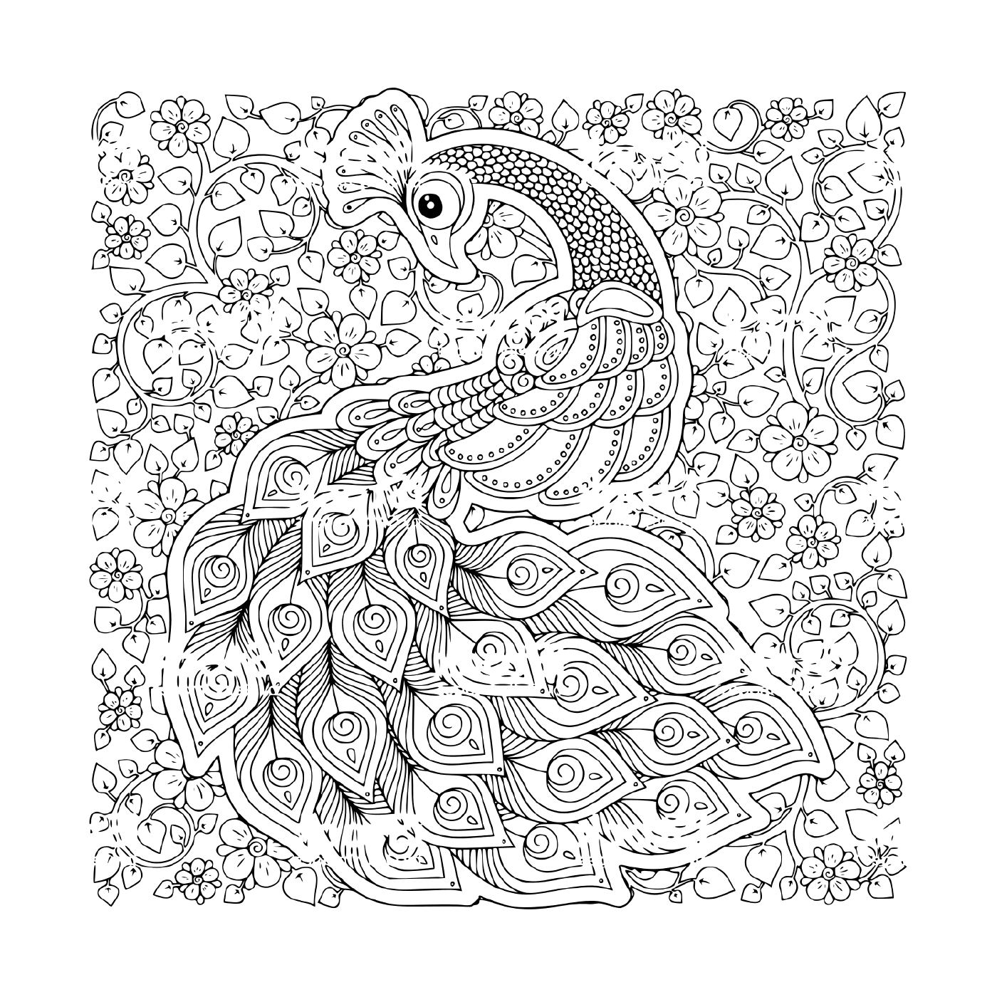 coloriage paon oiseau symbole de fertilite et immortalite en inde