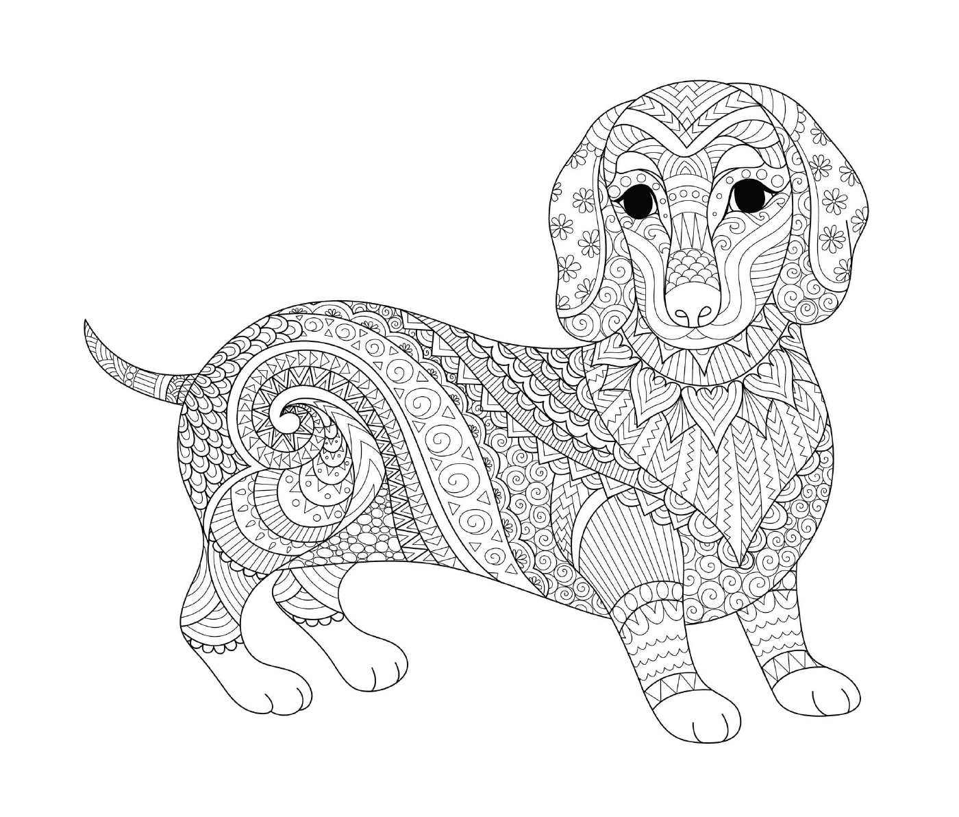 coloriage chien saucisse dachshund teckel mandala animaux