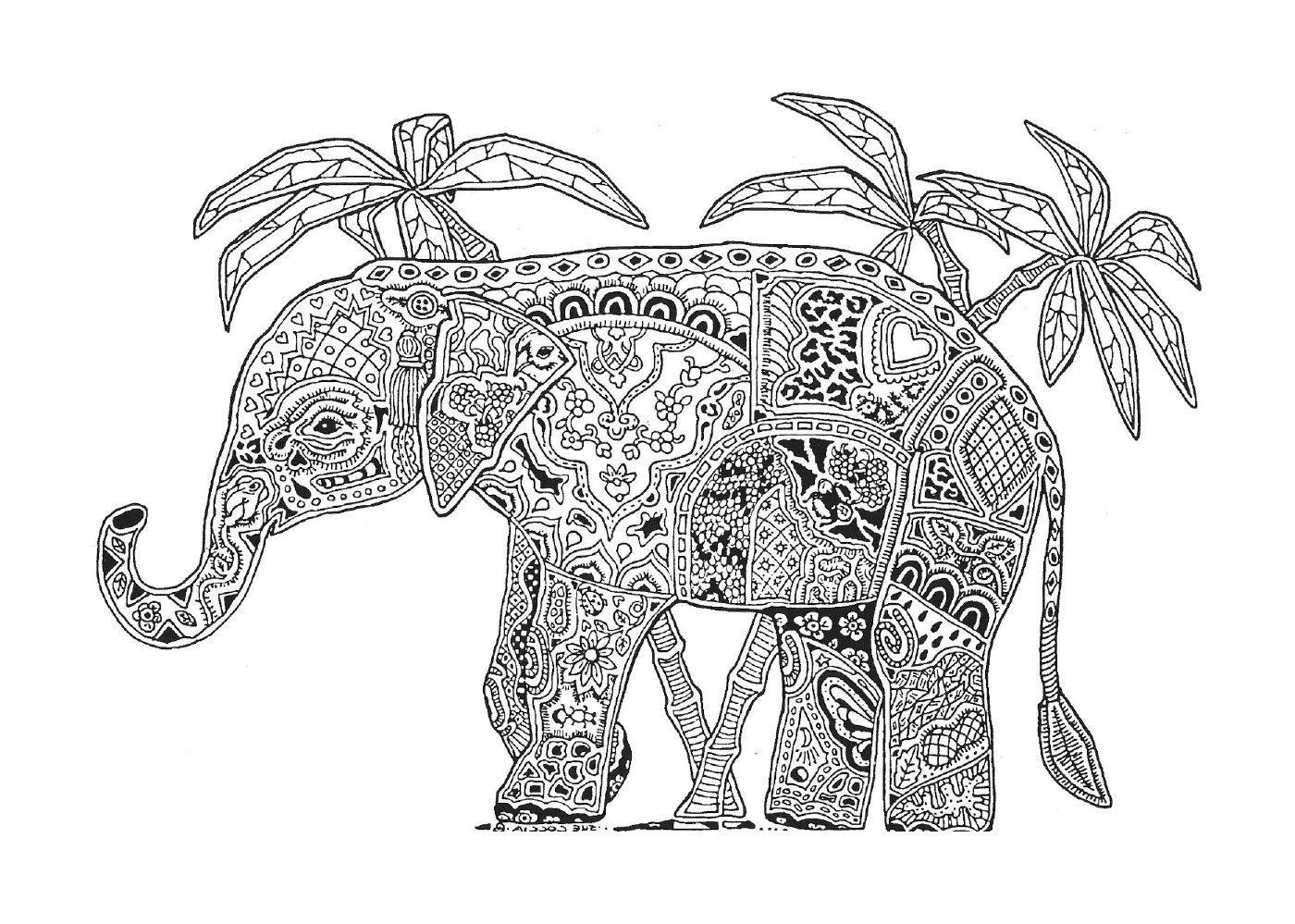 coloriage adulte animaux elephant difficile