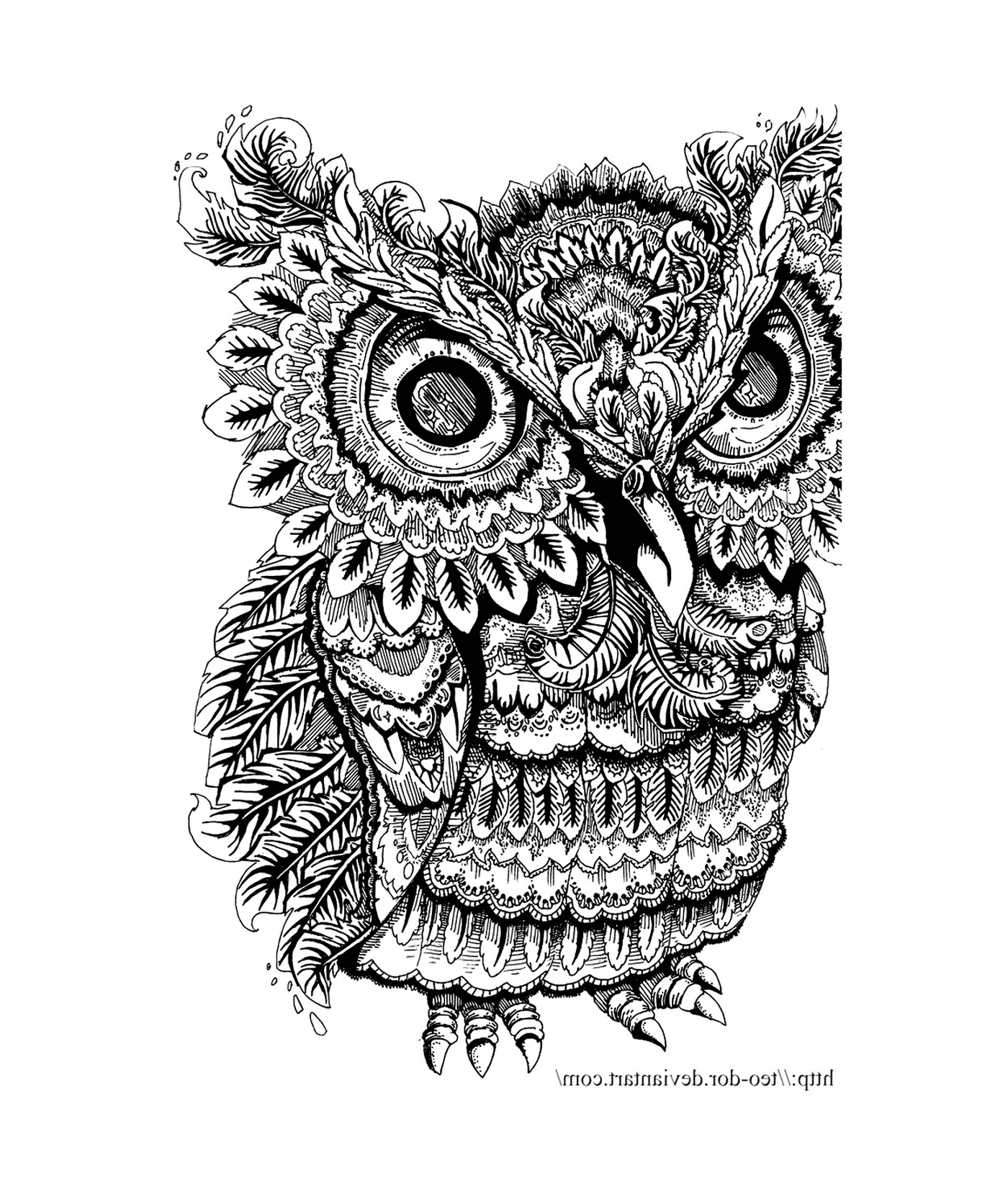 coloriage adulte animaux hibou gros yeux