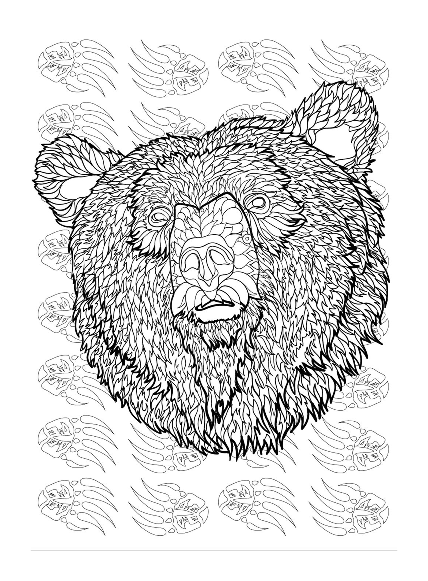 coloriage ours adulte animaux antistress difficile