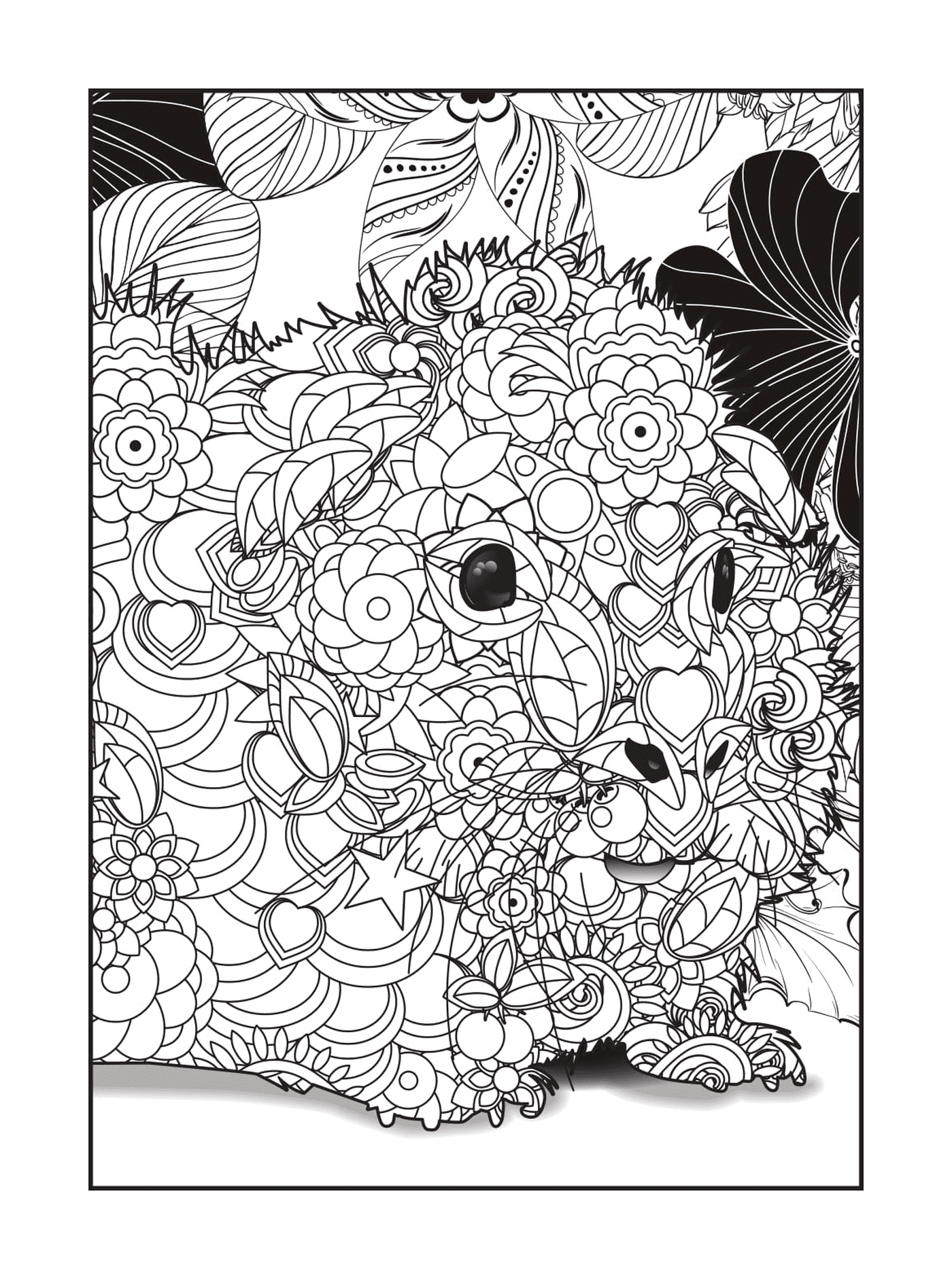 coloriage petit hamster adulte animaux