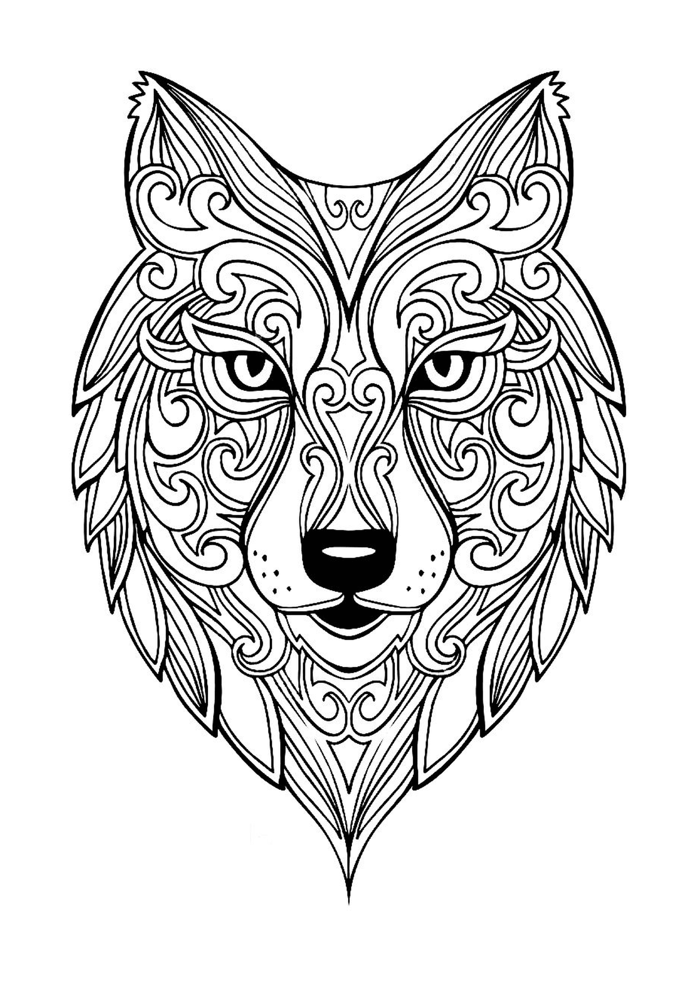 coloriage loup adulte animaux