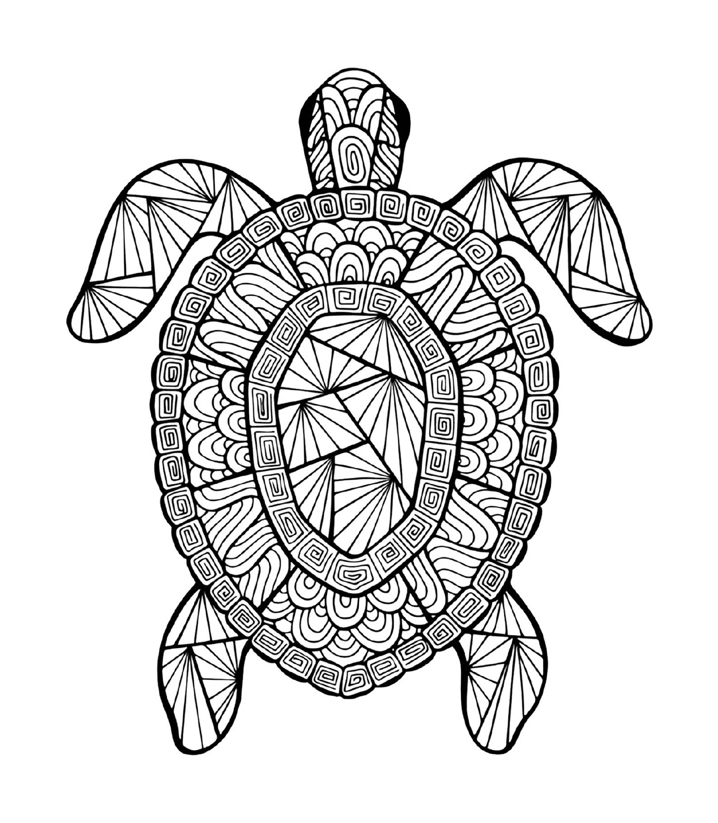 coloriage tortue animaux adulte