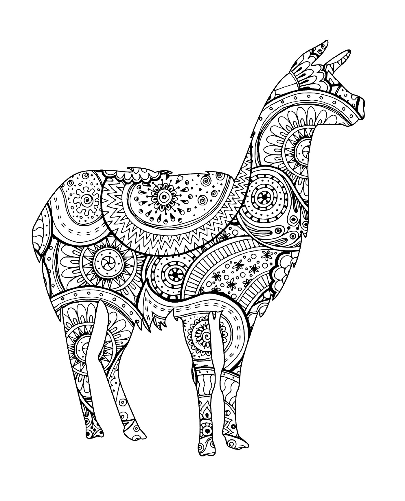 coloriage animal lama avec zentangle paisley motifs