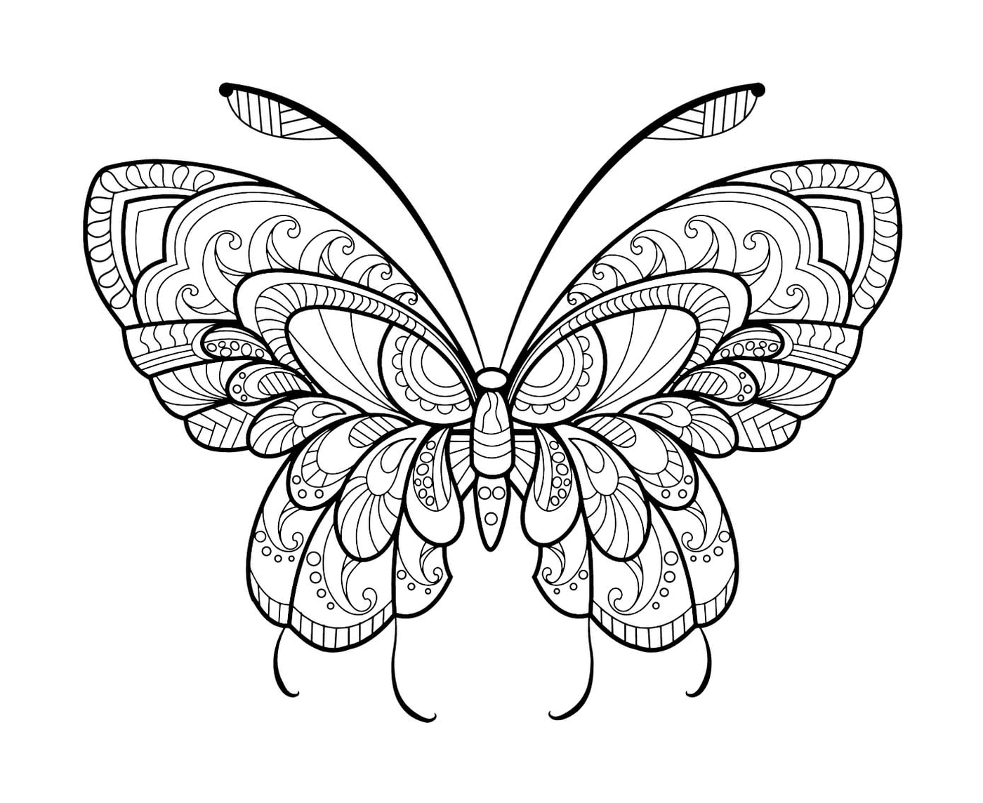 coloriage papillon adulte jolis motifs 11