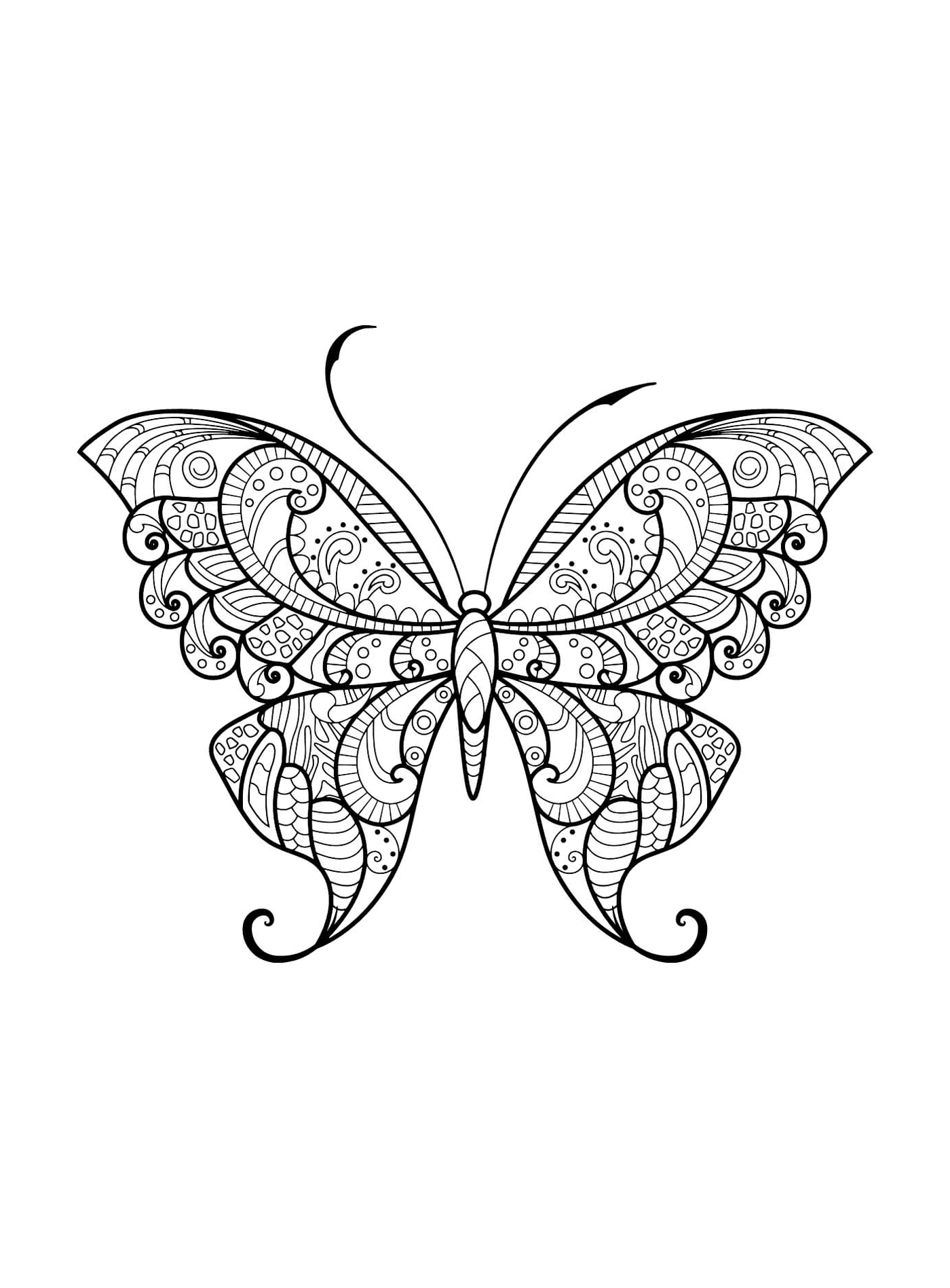 coloriage papillon adulte jolis motifs 12