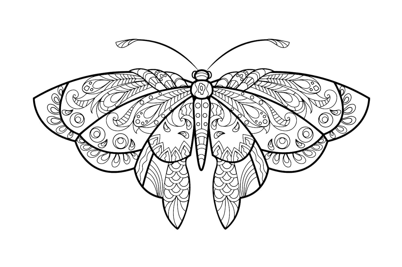 coloriage papillon jolis motifs 1