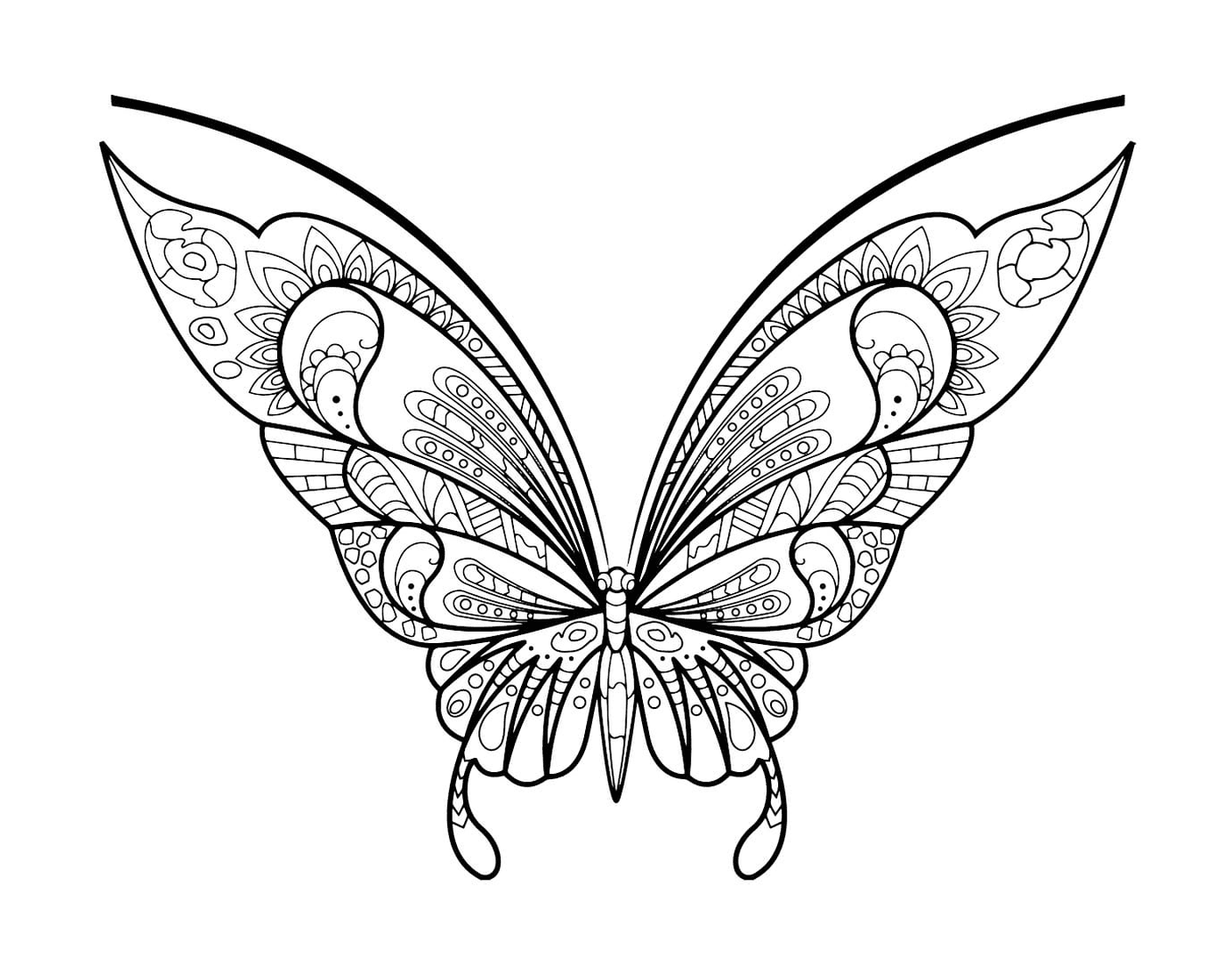 coloriage papillon insecte jolis motifs 7