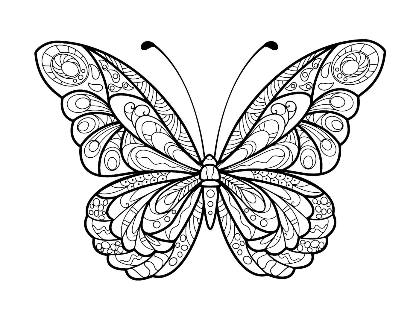 coloriage papillon jolis motifs 5
