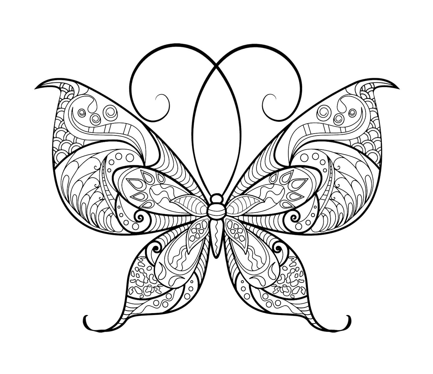 coloriage papillon adulte jolis motifs 13