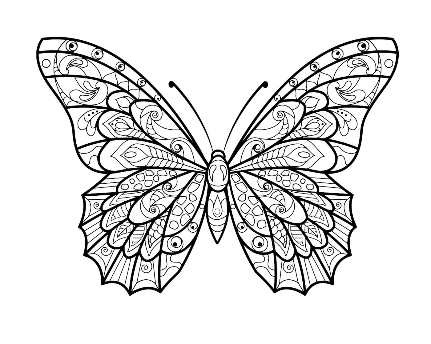 coloriage papillon jolis motifs 3